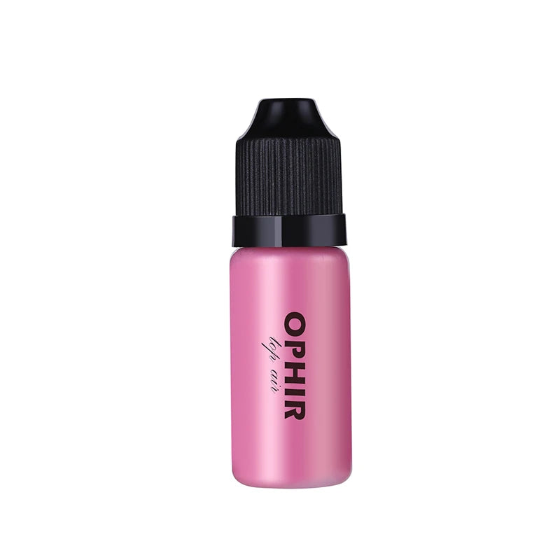 Pro Airbrush Makeup Blush Inks